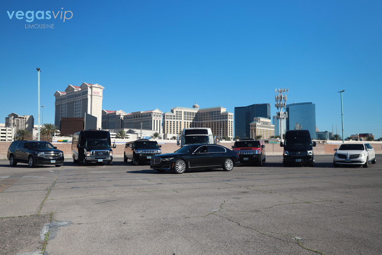 Theme Park Transportation - 1st Coast Limousines