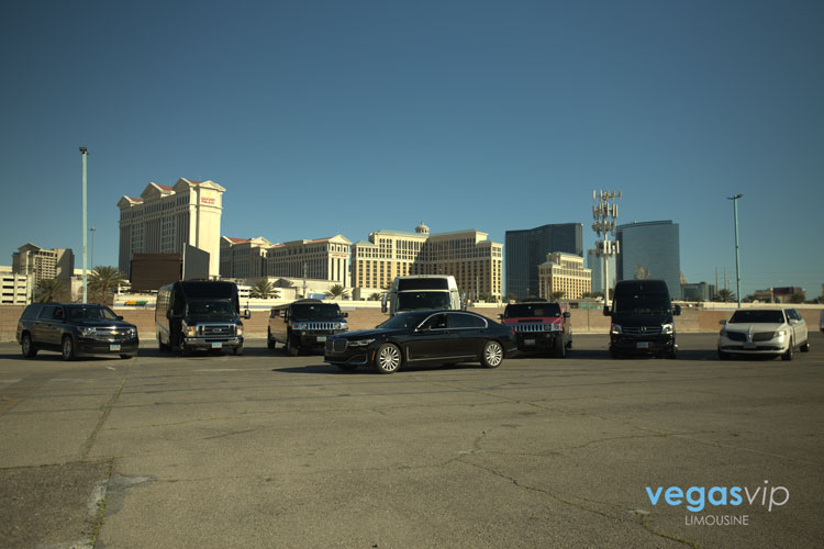 vegas transportation