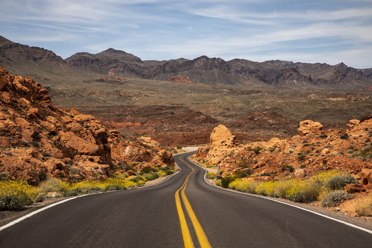 valley of fire limo